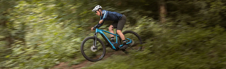 E-MTB Hardtail