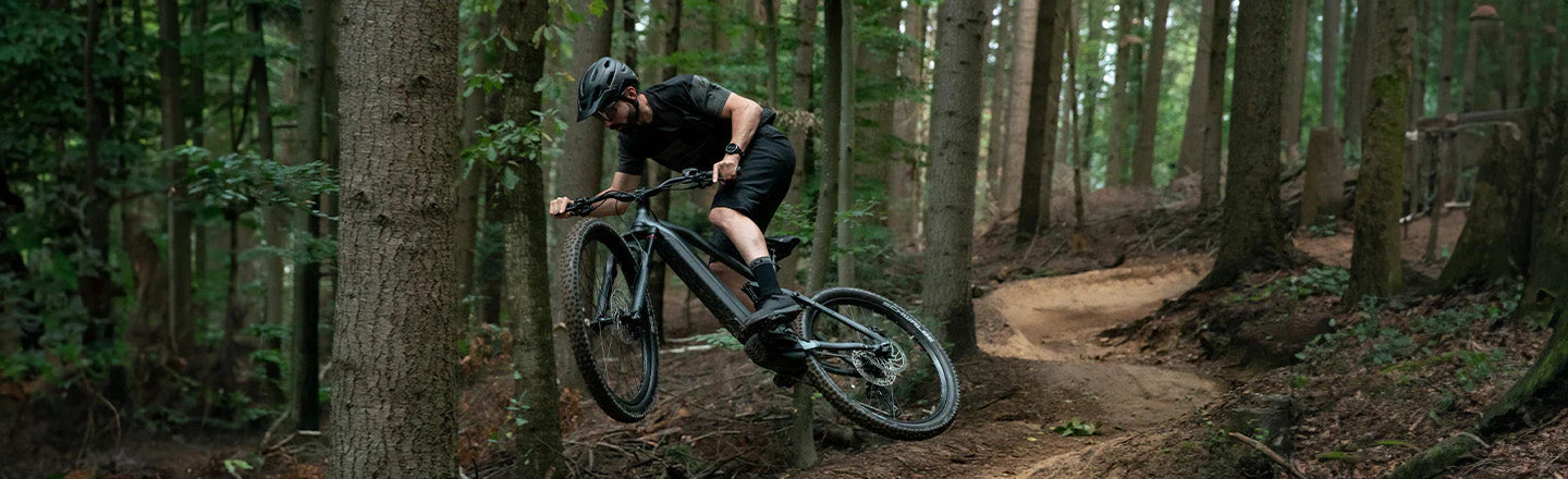 E-Mountainbike