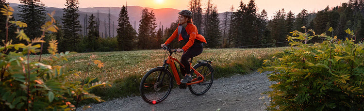 Trekking E-Bike Sport