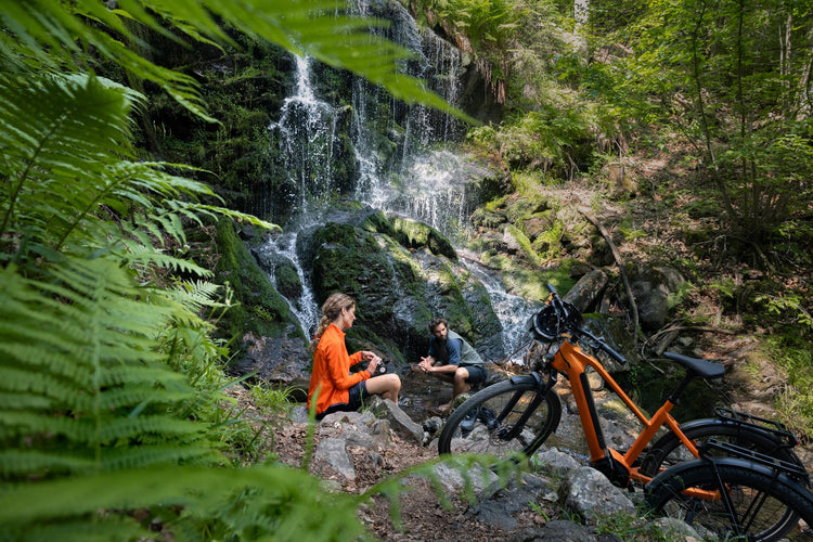 Carver SUV E, Fahrrad, E-Bike