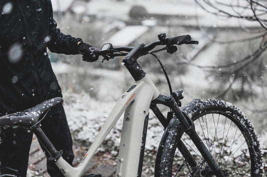 Radfahren im Winter, Carver Fahrrad, Schnee, Winter, MTB, Mountainbike