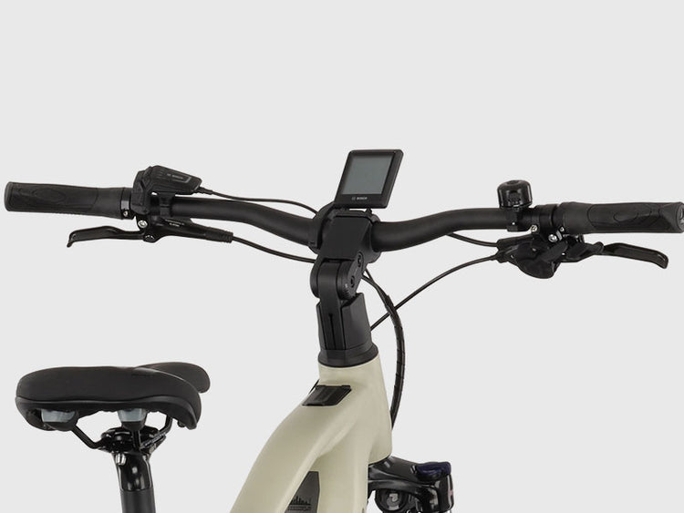 Carver E-SUV, Fahrrad, E-Bike