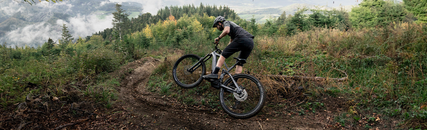 E-Mountainbike Fully