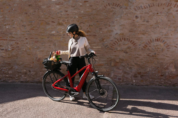 kettenschaltung nabenschaltung fahrrad